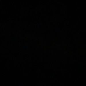 Meet your Posher, Shantelle